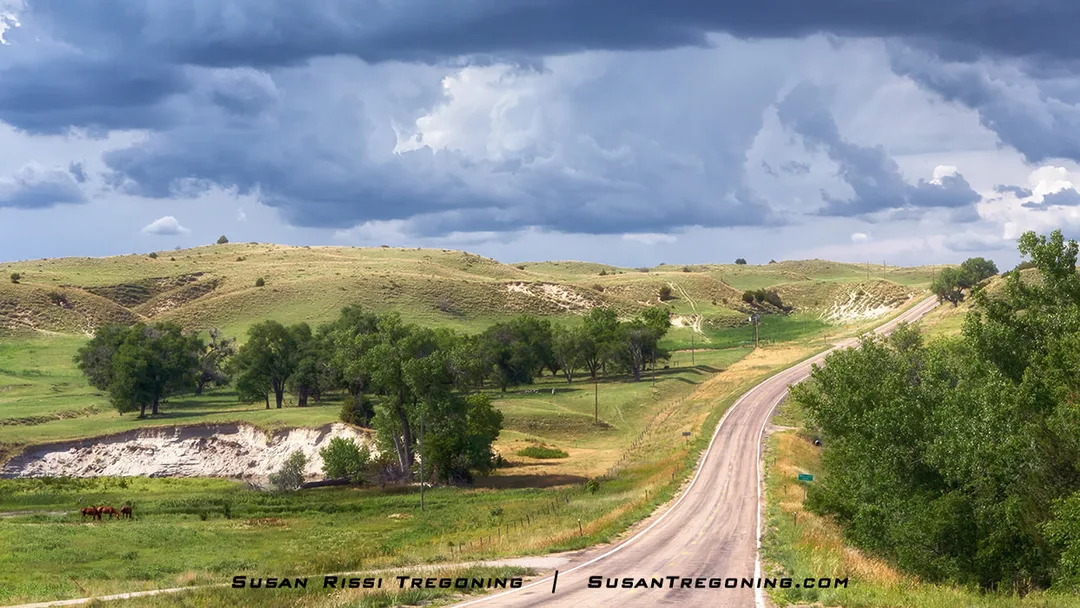 A winding road stretches through rolling grassy hills under dark, dramatic storm clouds, with a few horses grazing in the foreground.