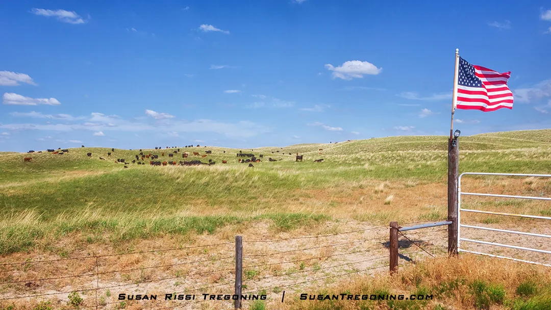A wire fence and metal gate stand in the foreground, with an American flag mounted on a wooden post and blowing in the wind. Behind the fence, cattle graze across rolling grassy hills under a bright blue sky with scattered white clouds.
