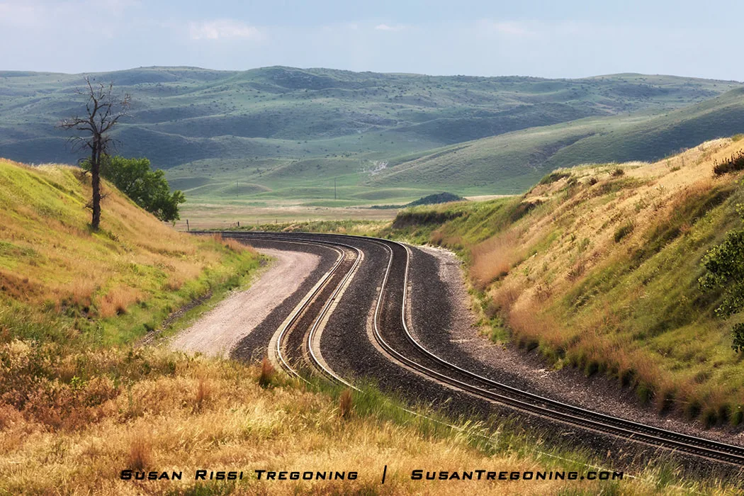 Curved railroad tracks run through gently rolling grassy hills under a partly cloudy sky, with a single bare tree standing beside the tracks.