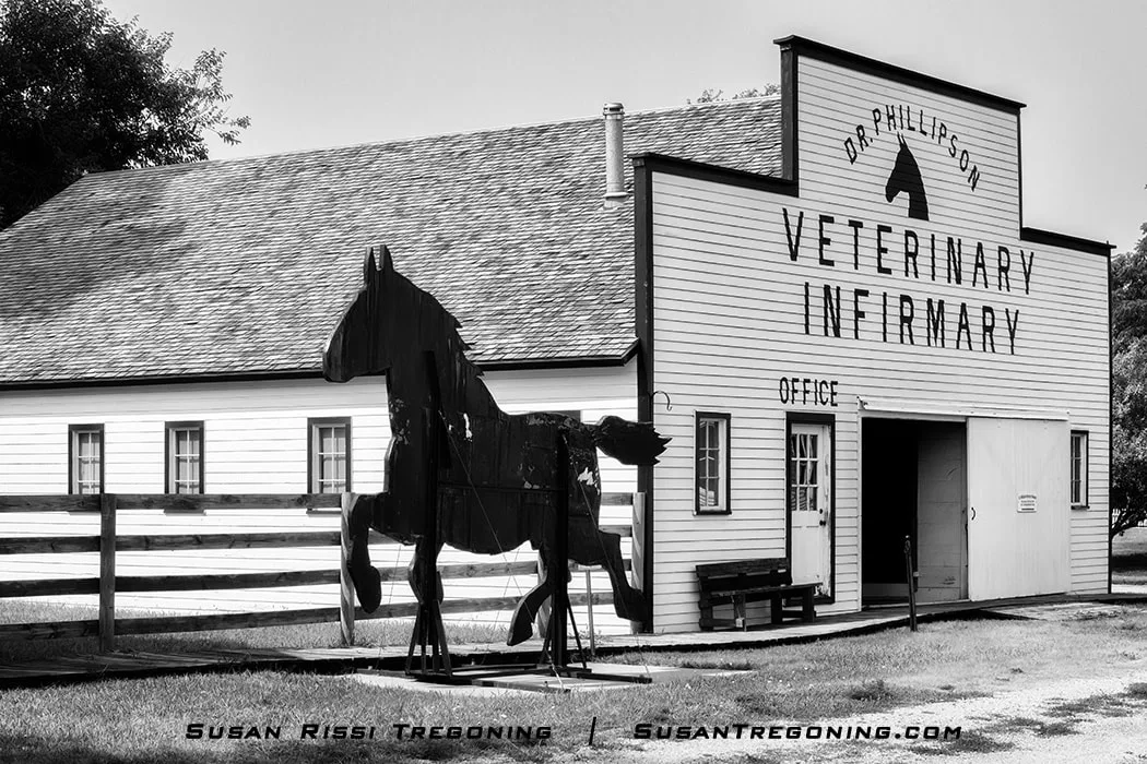 A black silhouette sculpture of a horse stands beside a white wooden building labeled “Dr. Phillipson Veterinary Infirmary Office.” A wooden fence runs in front of the structure, with grass and trees visible in the background.