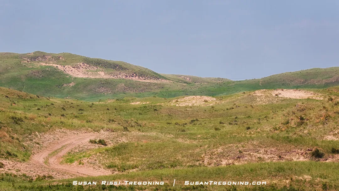 A landscape of rolling grass‑covered hills with several sandy blowouts exposed across the slopes, shown under a clear blue sky.