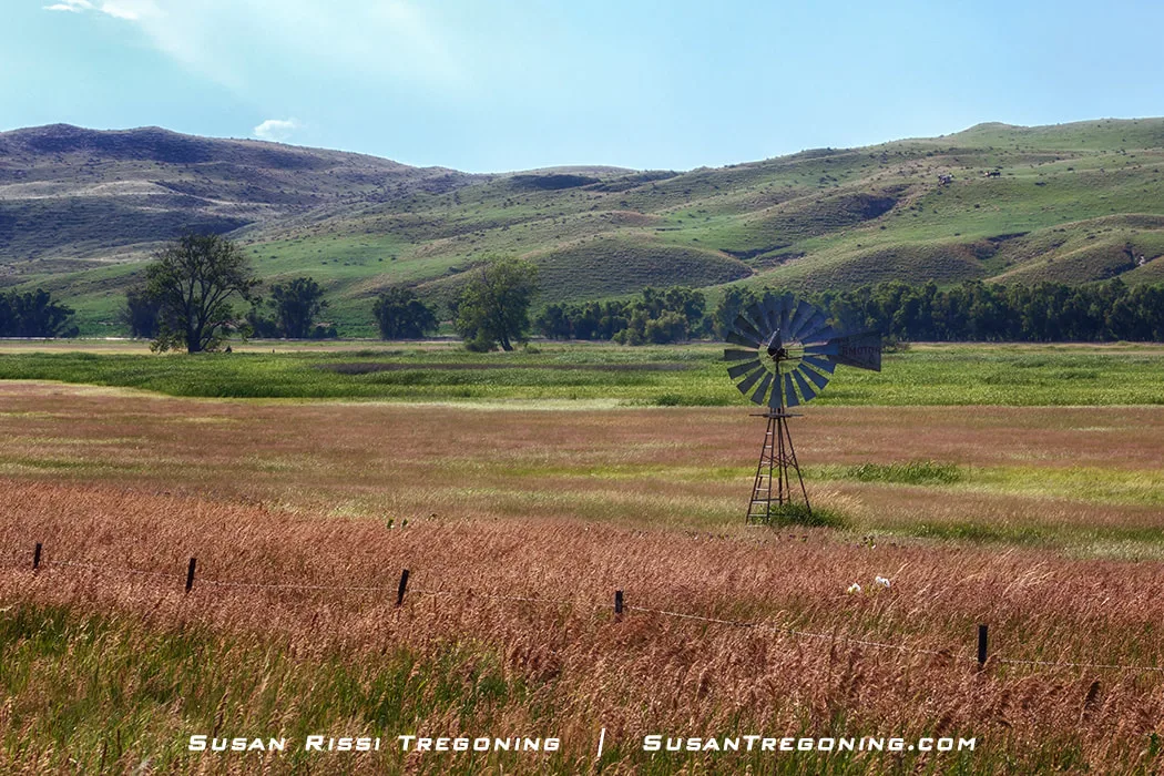A metal windmill stands in a field of tall grasses in varying shades of green, brown, and gold. Rolling grassy hills and scattered trees fill the background beneath a clear blue sky.