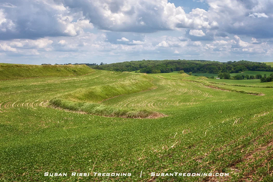 A view of Loess Hills farmland showing terracing, contour farming, and grassed waterways. Corn and soybeans dominate the fields, with steeper slopes used for hay and pasture. The erosion‑control patterns create distinct shapes across the rolling terrain.