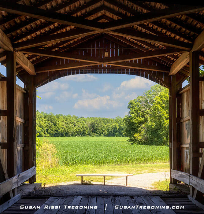 Looking out over a green early summer cornfield from inside the Neet Covered Bridge 