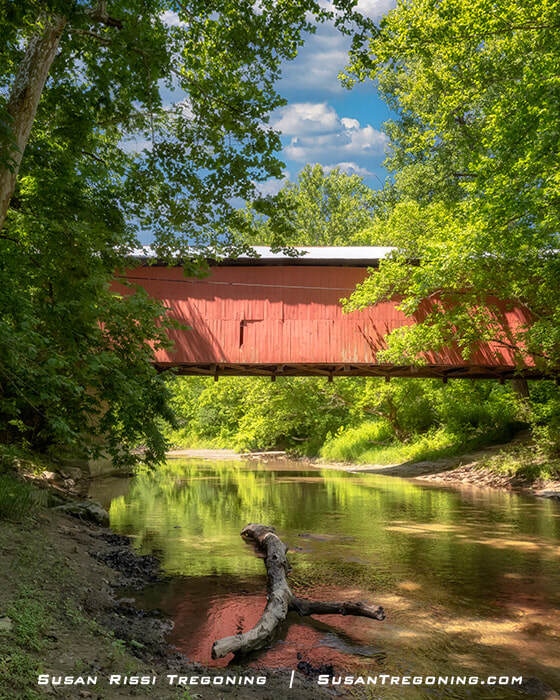 Wilkins Mill Covered Bridge, a red wooden span with a white roof crossing a shallow creek, surrounded by lush green trees with reflections in the water and a fallen log in the foreground.