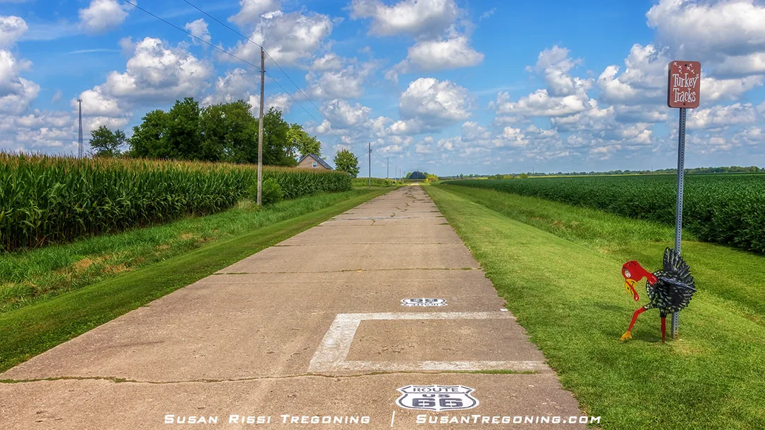 A turkey stands in the grass beside a sign marking the Turkey Tracks site near Nilwood, Illinois. The location is on the 1926–1930 alignment of Route 66, where century‑old turkey tracks are permanently imprinted into the roadway.