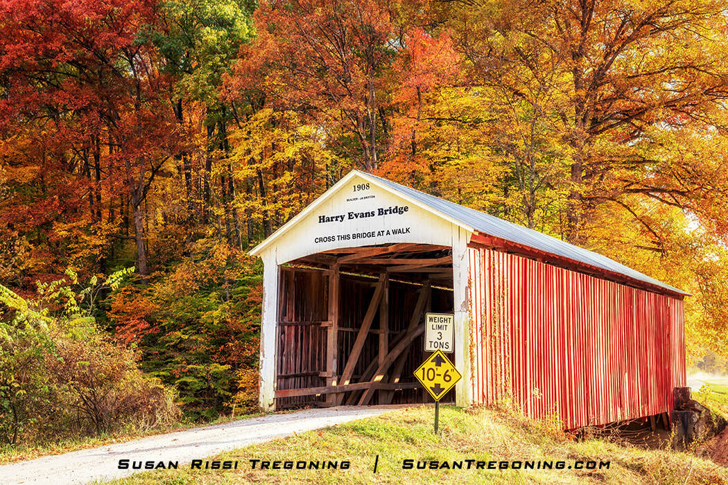 Roseville Covered Bridge surrounded by vibrant autumn foliage in shades of yellow, orange, and green, with a small road and utility poles leading toward the white‑trimmed red bridge.