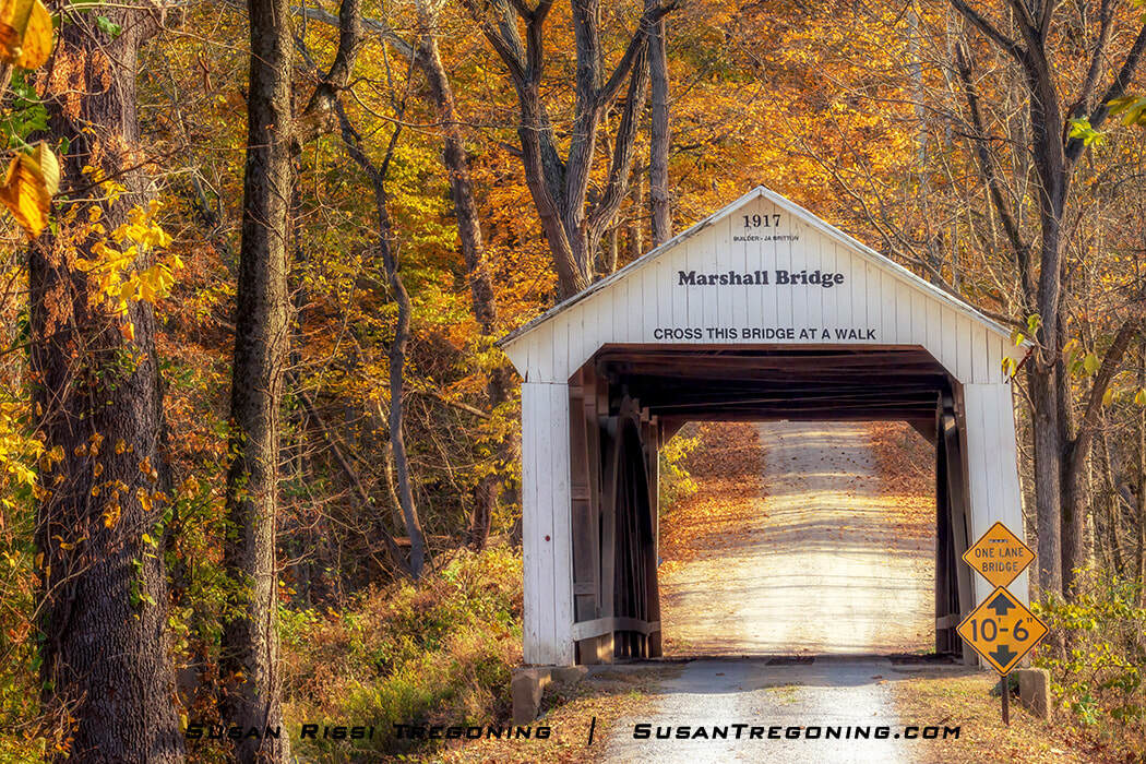Marshall Covered Bridge, a white wooden span with red trim set along a dirt road, surrounded by golden autumn trees under warm light.