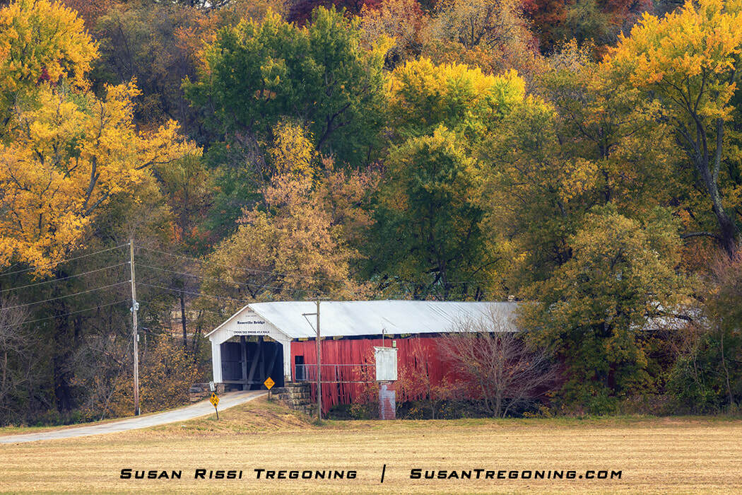 Roseville Covered Bridge surrounded by dense autumn foliage in shades of green, yellow, and orange, with a small road leading to the white‑trimmed red bridge and utility poles along the approach.