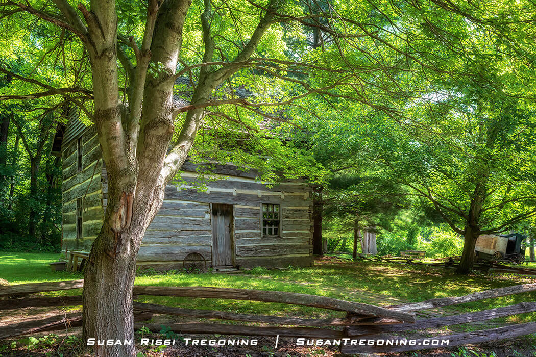 The historic Beeson family log cabin partially hidden by dense summer foliage, with weathered logs and a simple gabled roof set among green trees and grass.