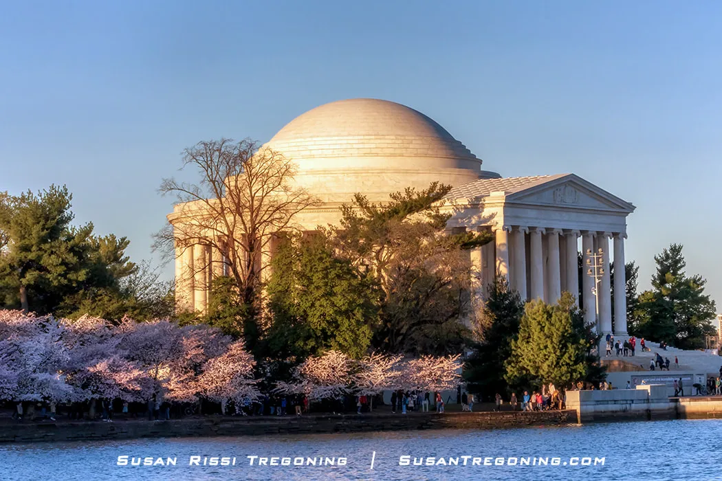 A view across the Tidal Basin toward the Jefferson Memorial, with cherry blossoms in full bloom framing the scene. The neoclassical memorial stands beneath a domed roof, reflected in the water, with visitors walking around the structure.