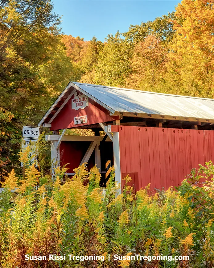 A red covered bridge with a white roof stands along a narrow roadway surrounded by dense vegetation and autumn trees in shades of yellow, orange, and green. A clearance sign is posted above the entrance, and a roadside sign reading Bridge stands nearby. Warm sunlight highlights the fall foliage around the structure.
