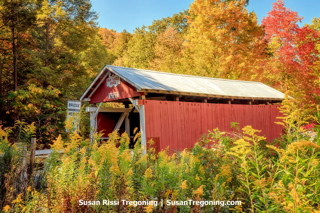 A red covered bridge with white trim stands along a narrow roadway surrounded by dense autumn foliage in shades of yellow, orange, and red. A sign above the entrance reads Pack Saddle Bridge with a posted clearance of 9 feet 11 inches. A roadside sign to the left marks the bridge location.