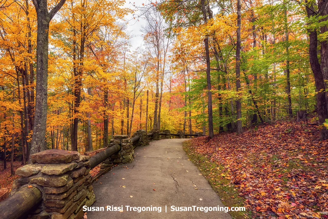 Paved path curving through an autumn forest with yellow, orange, and red foliage, bordered by rustic stone and wooden railings and scattered fallen leaves.