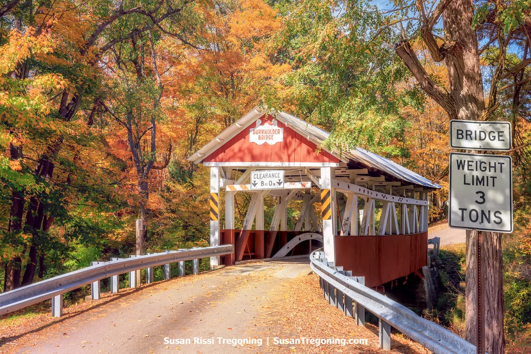 A red covered bridge with white trim stands along a leaf‑covered rural road surrounded by autumn trees in shades of yellow, orange, and green. The bridge has notably low sidewalls and a sign above the entrance reading Burkholder Bridge with a posted clearance of 8 feet 0 inches. A roadside sign to the right lists a 3‑ton weight limit.
