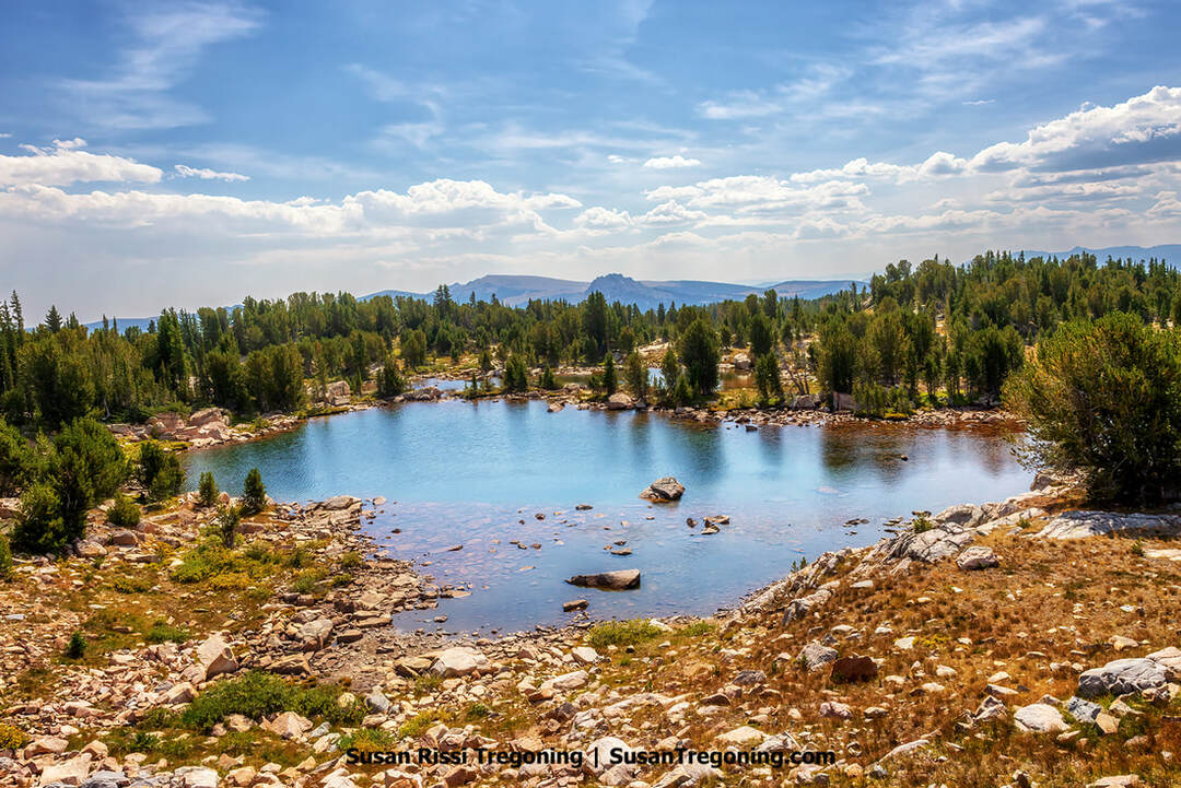 A small alpine lake bordered by rocky ground, sparse vegetation, and evergreen trees. The lake reflects a blue sky with scattered clouds, with distant mountain ridges visible beyond the tree line.