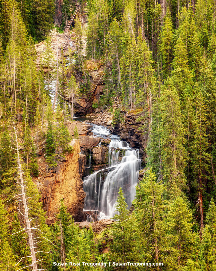 A multi‑tiered waterfall cascades down a rocky cliff surrounded by dense evergreen forest. Reddish‑brown rock layers frame the falling water, with tall pine trees rising along both sides beneath a clear sky.