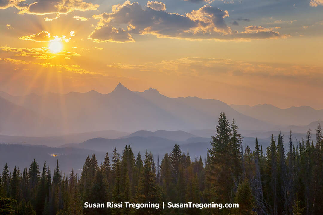 A high‑elevation view above evergreen treetops toward layered mountain ridges, with Pilot Peak and Index Peak rising prominently near the center. The low sun casts warm light and rays through scattered clouds as it descends behind the mountains.