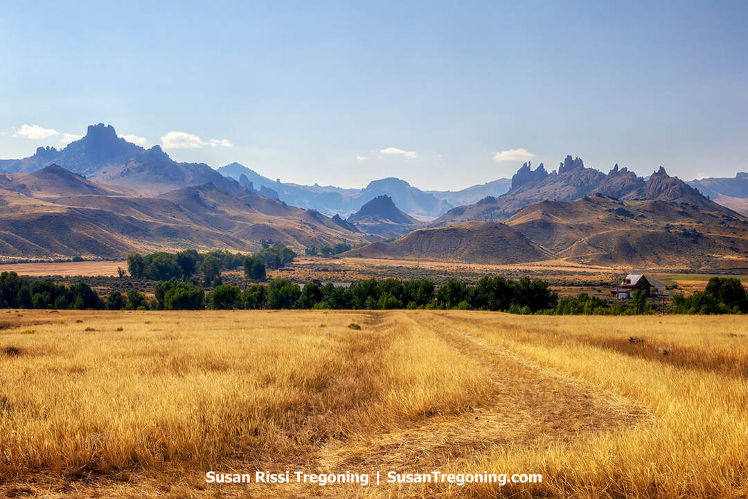 A landscape view of jagged Absaroka Mountain peaks rising behind a field of dry golden grass, with a dirt path leading toward a line of trees and a small building at the base of the mountains under a clear blue sky.
