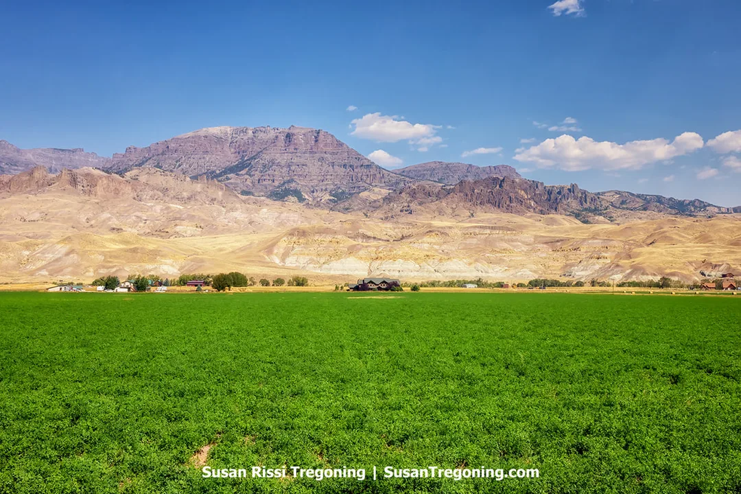 A wide green agricultural field stretches across the foreground with a few small buildings and trees near the center. Behind them, rugged rocky mountains rise in layered shades of tan and brown under a blue sky with scattered clouds.