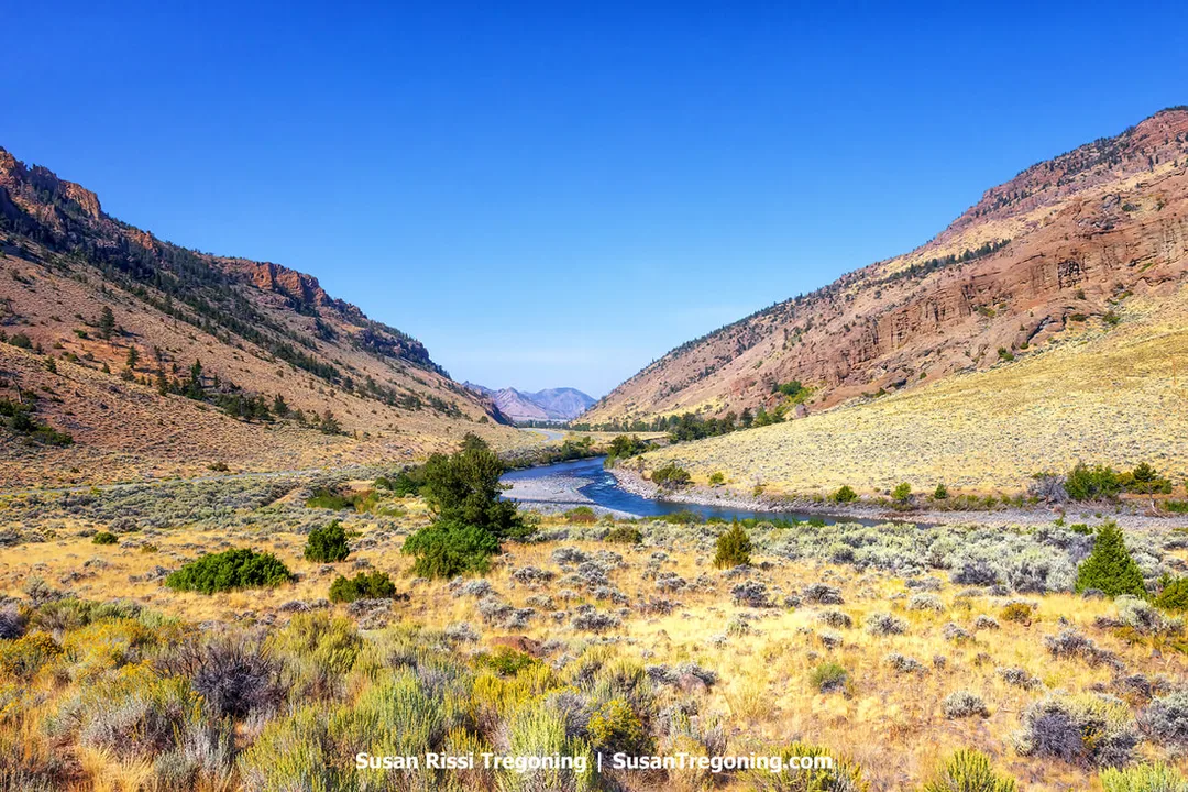 A winding river curves through a wide valley bordered by rocky hills with sparse grasses, shrubs, and scattered trees. The valley narrows toward distant mountains under a clear blue sky.