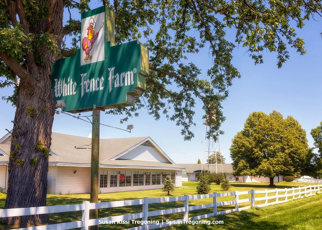 A green roadside sign reading White Fence Farm stands beside a large tree. The sign includes a cartoon chicken in a chef’s hat. Behind it is a white building with a gray roof, a white picket fence, and additional farm‑style structures on the property.
