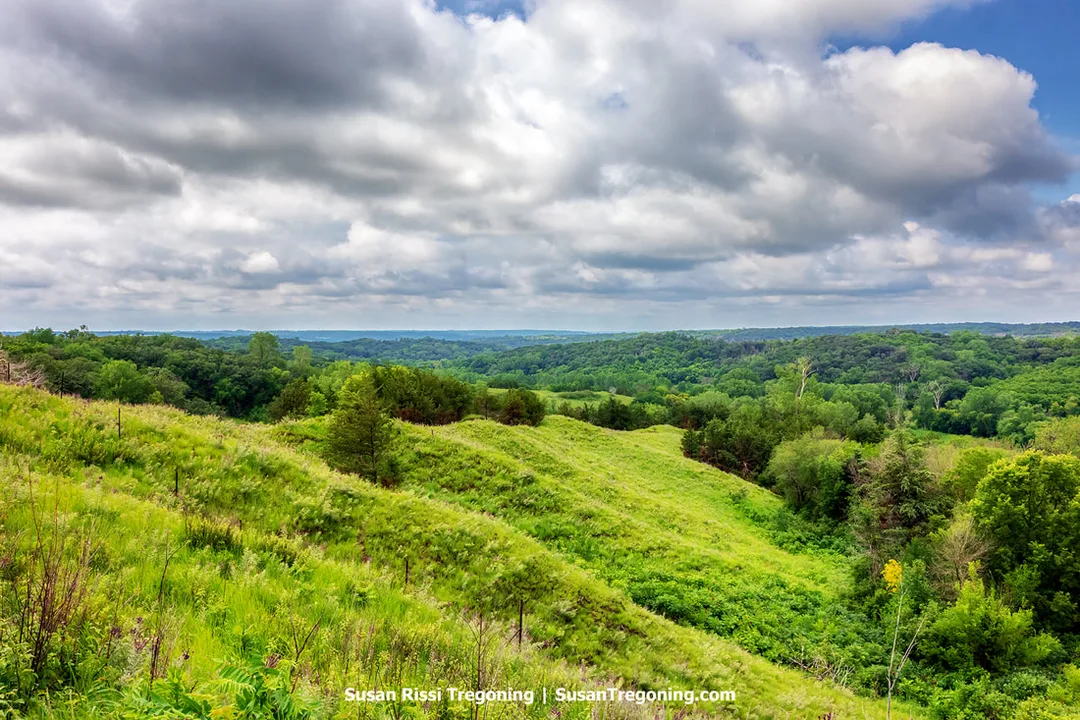 A view of rippling contours along the slope of a loess hill in Preparation Canyon State Park. The landform gradually descends into the wooded areas of the Loess Hills State Forest, showing the transition from open hillside to forested terrain.