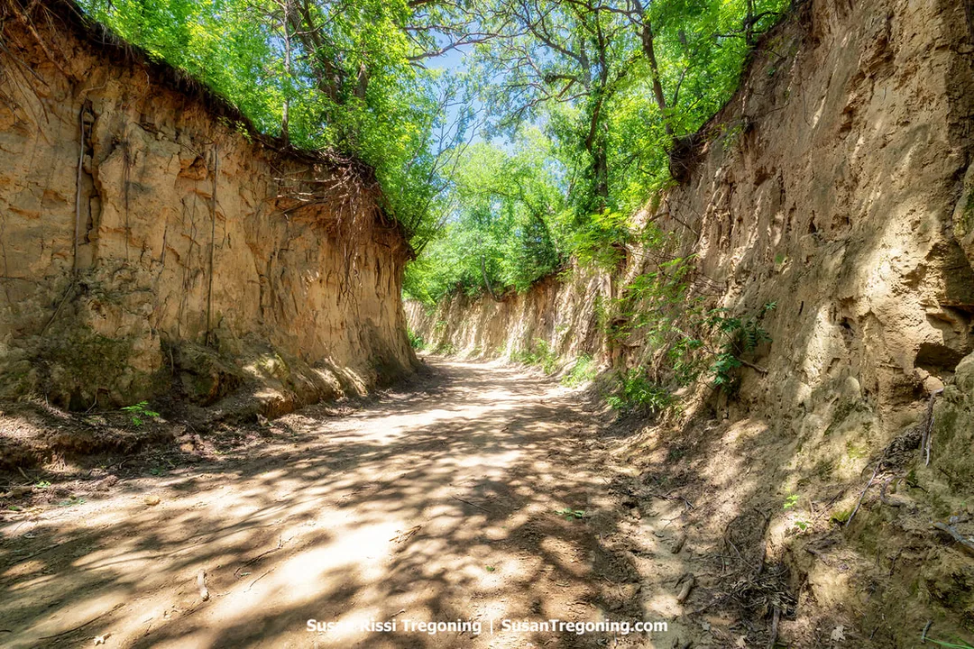 Driving the Hastie Hollow B Road amidst the Loess landscape is a unique experience. 