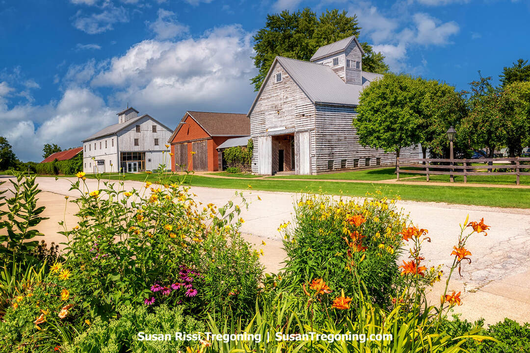 In the historic Amana village, vibrant flowers bloom on a street corner where old barns now serve as home to the Amana Colonies Convention and Visitors Bureau, Edelweiss Coffee and Tea Co., and Heritage Designs Quilting and Needlework.