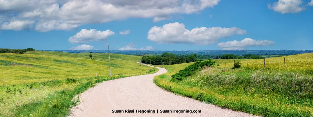 A gravel road winds among the gently rolling slopes of the Loess Hills, following the route of one of the Scenic Byway Loop Drives. The road curves through open terrain shaped by the region’s wind‑formed hills.