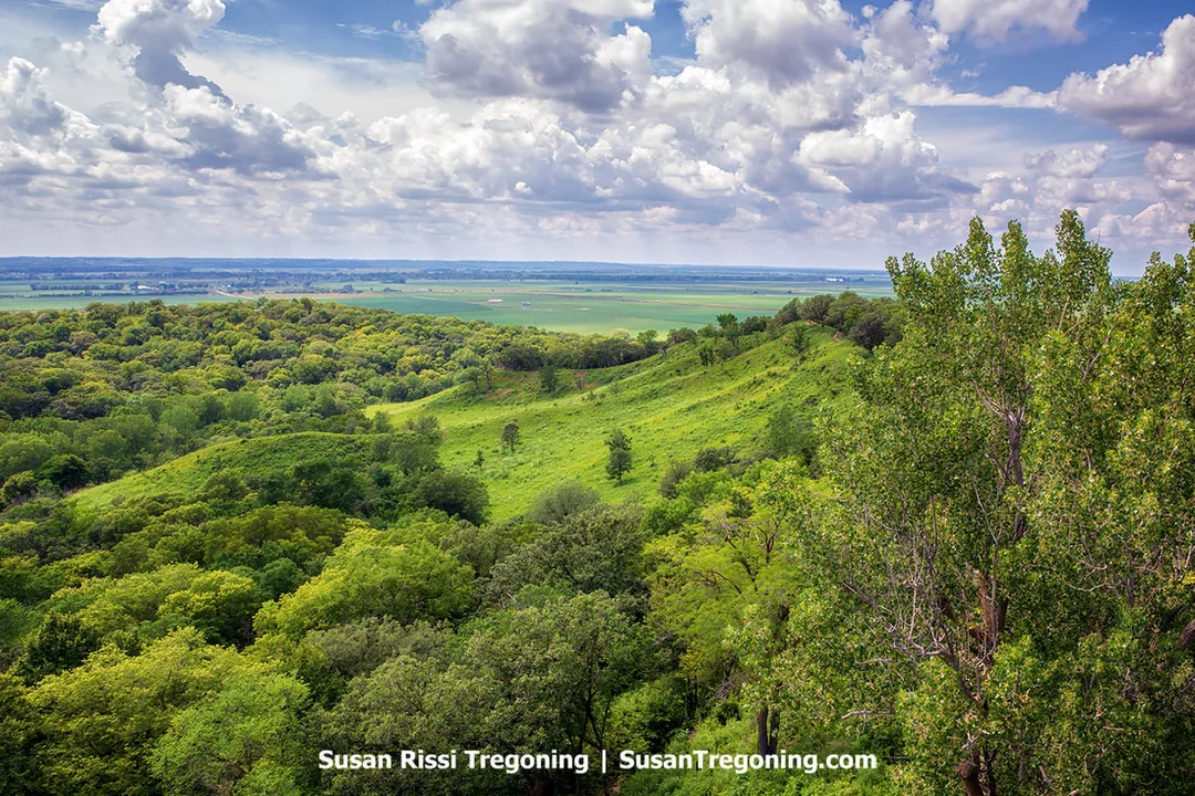 From atop the 45-foot observation tower at Hitchcock Nature Center in Honey Creek, Iowa, visitors are treated to breathtaking vistas of the Loess Hills and the distant Missouri Valley. Located not far from Council Bluffs, Hitchcock Nature Center is a highlight along the Loess Hills National Scenic Byway.