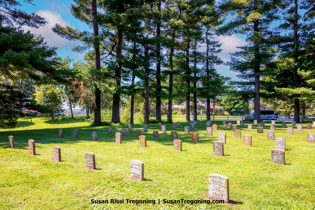 Rows of simple, uniform headstones in the High Amana Cemetery, arranged in neat lines behind a white fence and bordered by tall pine trees. The markers are low, rectangular, and unadorned, reflecting the minimalist Inspirationist burial tradition. Soft grass surrounds the stones under open daylight.