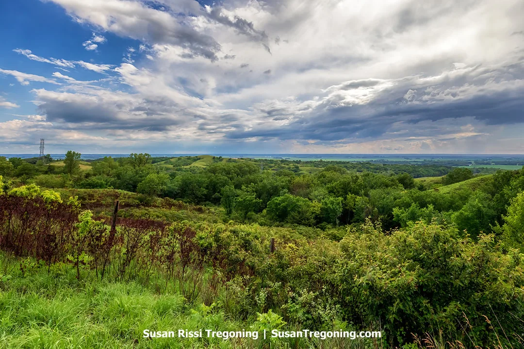 A sweeping view of Broken Kettle Grassland Preserve from Butcher Road along the Loess Hills National Scenic Byway. The scene shows rolling, wave‑like hills covered in green grasses with scattered trees. Dense shrubs fill the foreground, broader grasslands appear in the midground, and large layered clouds stretch across the sky with areas of blue visible between them.
