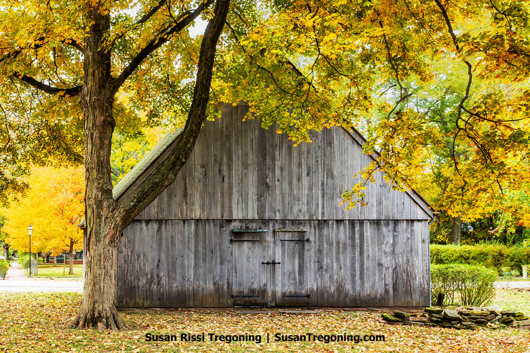 A weathered wooden barn with a gabled roof stands beneath a large tree filled with bright yellow and orange autumn leaves. Fallen leaves blanket the ground around the structure, and soft sunlight filters through the branches. Benches, hedges, and additional trees with fall foliage appear in the background, creating a calm park‑like setting.