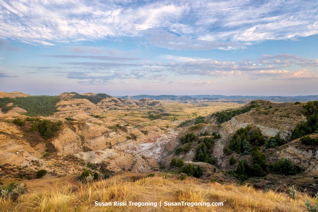 The Boicourt Overlook in the South Unit of Theodore Roosevelt National Park reveals sweeping views of North Dakota’s Badlands, with layered hills, rugged cliffs, and winding valleys under a soft blue sky. The landscape glows in warm tones of gold and green, showcasing the park’s wild, untamed beauty.