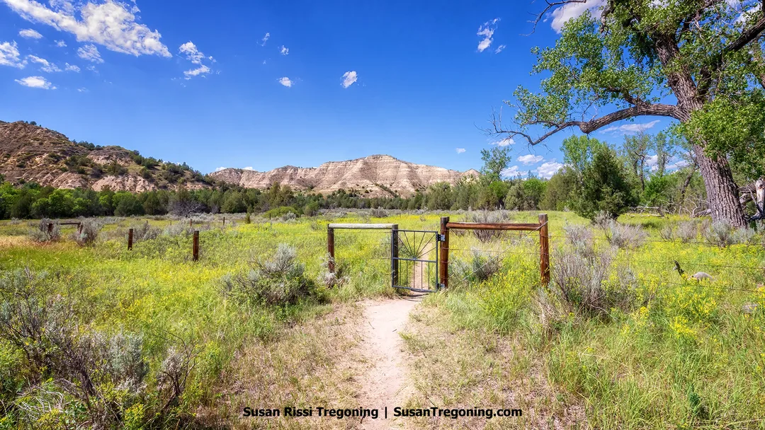 A wooden gate stands at the historic Elkhorn Ranch site in the Elkhorn Ranch Unit of Theodore Roosevelt National Park. Inside the fenced area, foundation stones mark where Theodore Roosevelt’s ranch house once stood, surrounded by prairie grass, sagebrush, cottonwoods, and distant Badlands buttes under a clear blue sky.