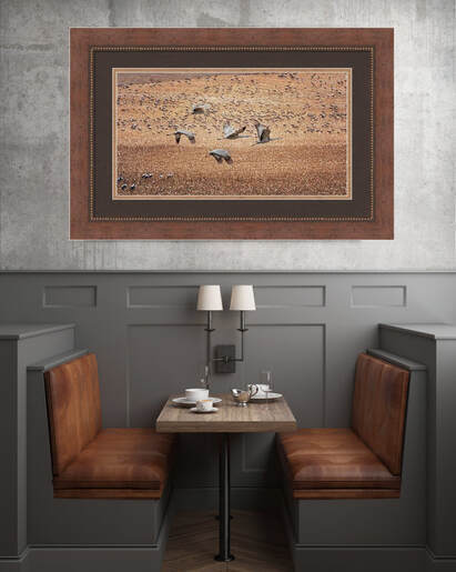 Set the tone for a cozy, welcoming space with “Flight Across the Sandhills.” The earthy palette and graceful silhouettes pair beautifully with warm woods, leather seating, and soft ambient lighting.