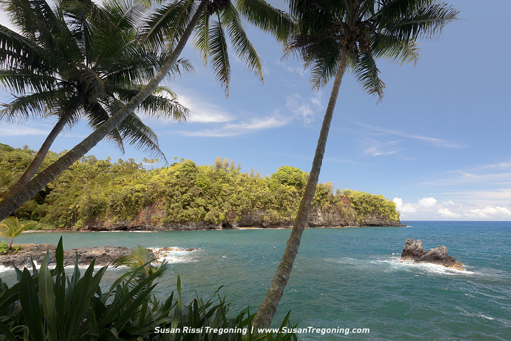 Onomea Bay, where the Hawaii Tropical Botanical Garden is located, is one of the lushest areas on the Big Island. 