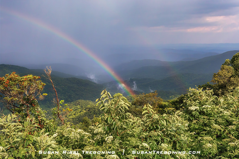 243.4 Bluff Mountain Overlook It was purely the luck of being in the right place at the right time when I captured this smoky view down into Basin Cove. We had pulled off at the Overlook to wait out a passing rainstorm. As the storm gave way to sprinkles and the sun came out, a magnificent double rainbow appeared. 
