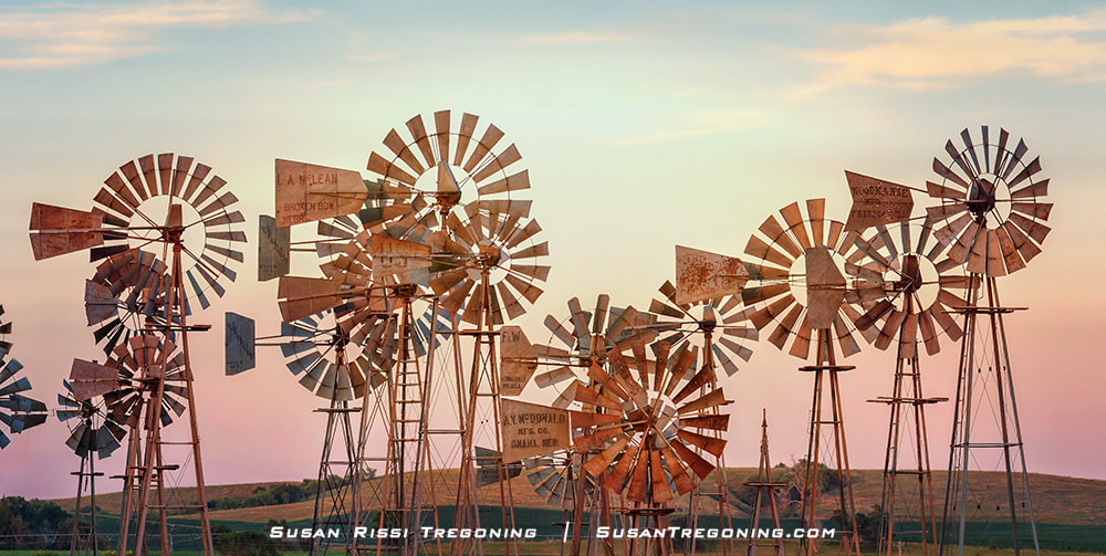 Downey Well Drilling’s collection of windmills located in the village of Merna.