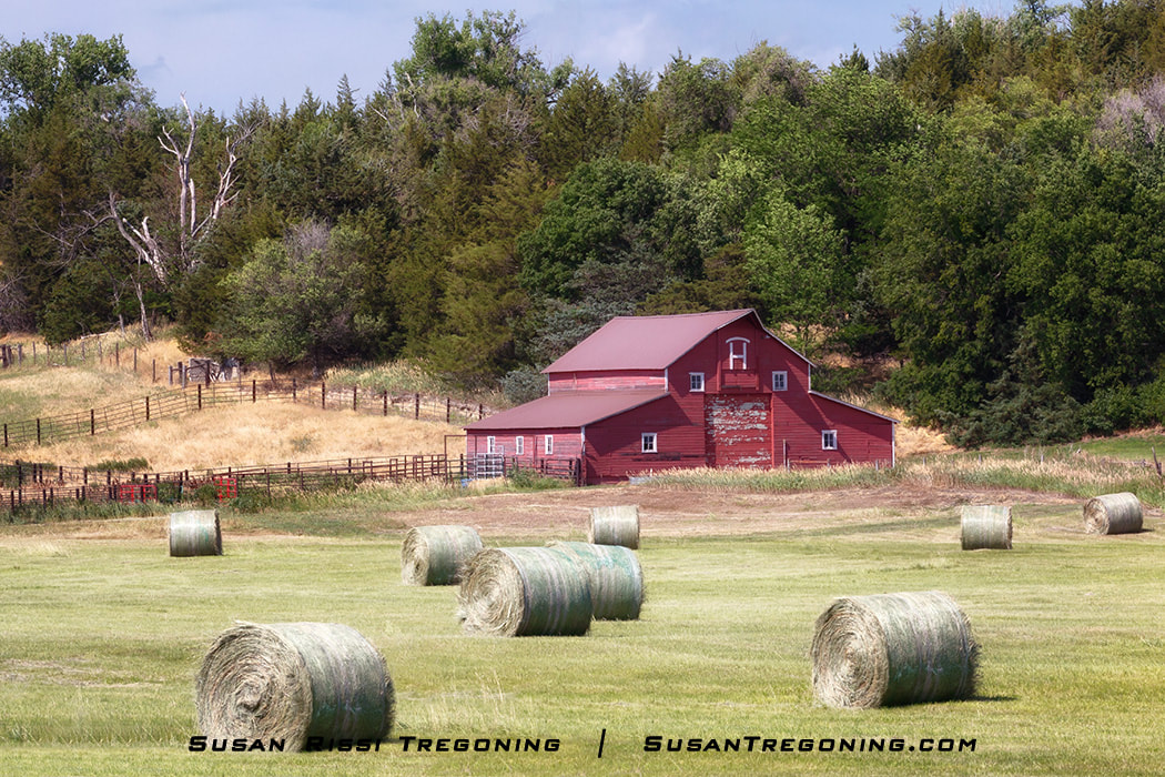 This type of farm scene is a common sight in the Sandhills. Many meadows between the rolling hills will have hay bales on them. It takes a lot of hay to keep the cattle and the other animals fed on the ranches. Baling hay takes place from May to late summer and in early fall.
