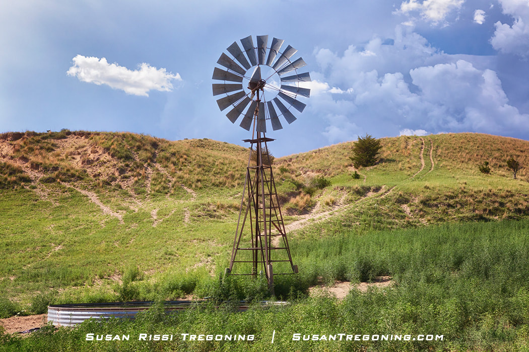 A windmill is being used to pump water into a metal stock tank to keep the animals watered in the Nebraska Sandhills. 