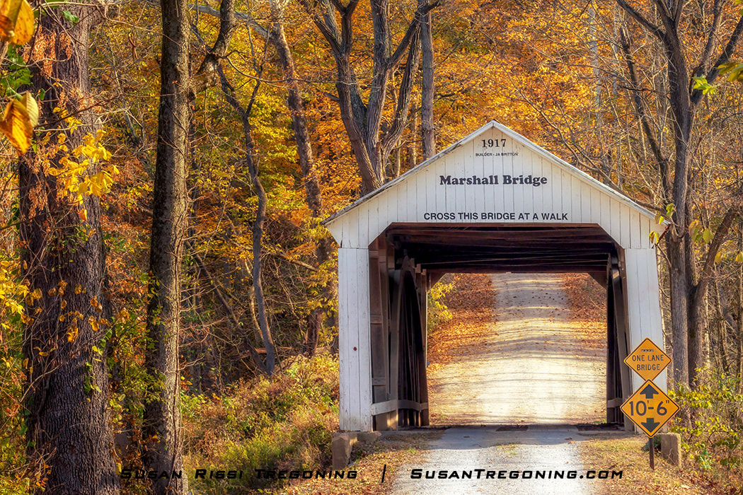 Beautiful fall foliage surrounds Marshall Covered Bridge in Parke County, Indiana. This is bridge number 29 on the Parke County Covered Bridge tour. With 31 remaining covered bridges, Parke County has more covered bridges than any other county in the nation.