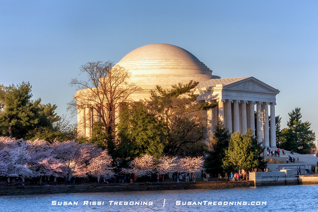 An early morning view of the Jefferson Memorial from across the Washington DC Tidal Basin during the 2023 National Cherry Blossom Festival. 