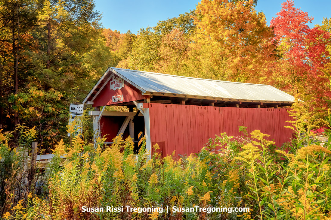 Pack Saddle Covered Bridge surrounded by the golden hues of Autumn.